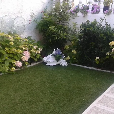 Holiday R. Do Arrais Anca *
